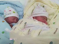 广东N先生喜获双胞胎男宝