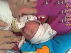 又一成功案例—女子本弱，为母则强