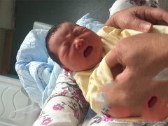 死精症成功助孕