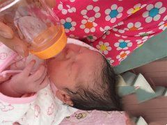 多囊卵巢造就不孕 试管婴儿来送子